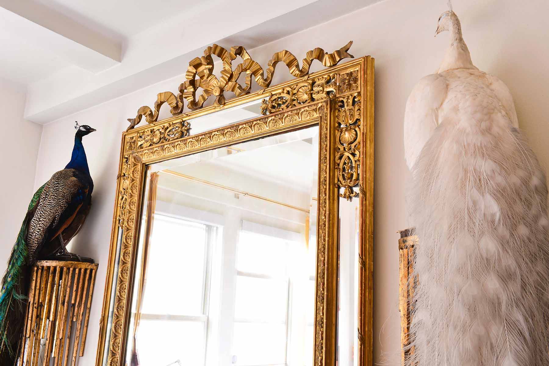 Stuffed peacocks next to gilded mirror
